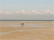 061-Manama0114