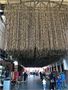 068-Manama0114