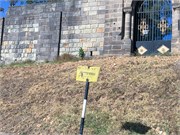 005-Addis_Ababa