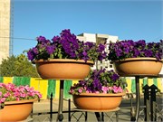 052-Addis_Ababa