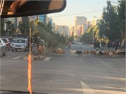 067-Addis_Ababa
