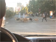 068-Addis_Ababa