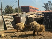 008-2_Debre_Libanos