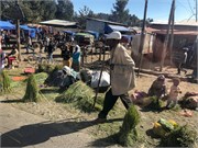 014-2_Debre_Libanos