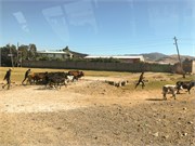 015-2_Debre_Libanos