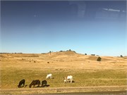 017-2_Debre_Libanos