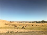 021-2_Debre_Libanos