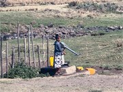 023-2_Debre_Libanos