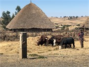 034-2_Debre_Libanos