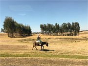 042-2_Debre_Libanos