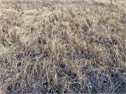 044-2_Debre_Libanos