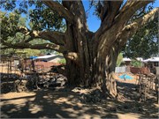 058-2_Debre_Libanos