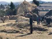 065-2_Debre_Libanos