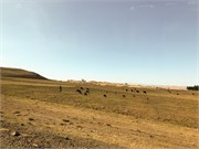 069-2_Debre_Libanos