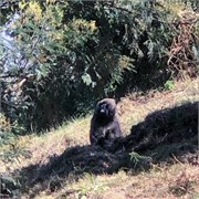 006-Ethiopia