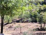 008-Ethiopia