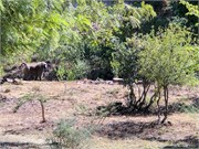 009-Ethiopia