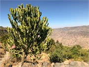 016-Ethiopia
