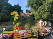 001-Miracle_Garden_Dubai