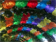 004-Miracle_Garden_Dubai