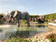 006-Miracle_Garden_Dubai