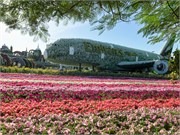 007-Miracle_Garden_Dubai