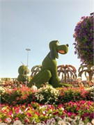 010-Miracle_Garden_Dubai