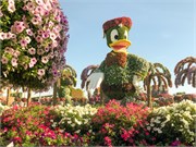 012-Miracle_Garden_Dubai