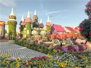 016-Miracle_Garden_Dubai