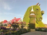 017-Miracle_Garden_Dubai