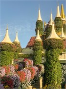 023-Miracle_Garden_Dubai