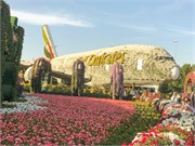 025-Miracle_Garden_Dubai