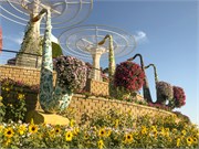 028-Miracle_Garden_Dubai
