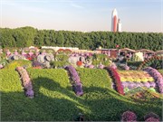 030-Miracle_Garden_Dubai