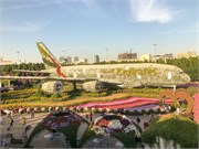 031-Miracle_Garden_Dubai