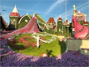 036-Miracle_Garden_Dubai