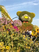 037-Miracle_Garden_Dubai