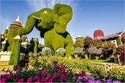 042-Miracle_Garden_Dubai