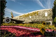 046-Miracle_Garden_Dubai