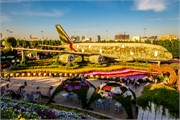 048-Miracle_Garden_Dubai