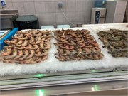 036-Sharjah_UAE