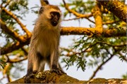 005-LakeMburo-2
