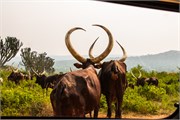 010-LakeMburo