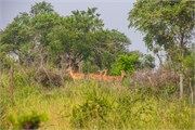 012-LakeMburo