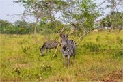 014-LakeMburo