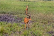 024-LakeMburo