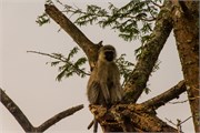 028-LakeMburo
