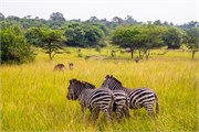 029-LakeMburo