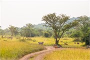 030-LakeMburo