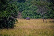 036-LakeMburo